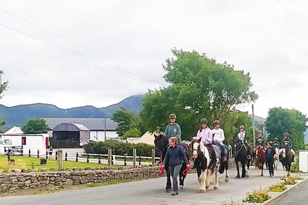 curso de ingles westport irlanda en familia de acogida copia