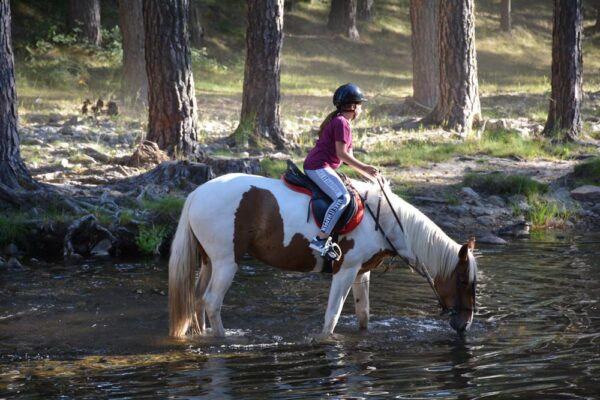 campamento de ingles gredos avila