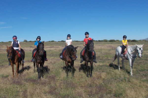 campamento de ingles gredos avila