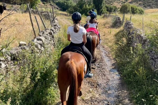 campamento de ingles gredos avila