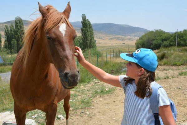 campamento de ingles gredos avila