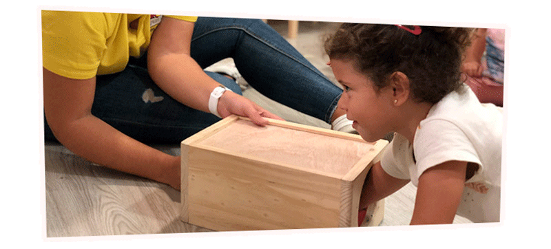 materiales contenidos ingles great little people