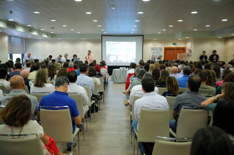 curso escolar irlanda x