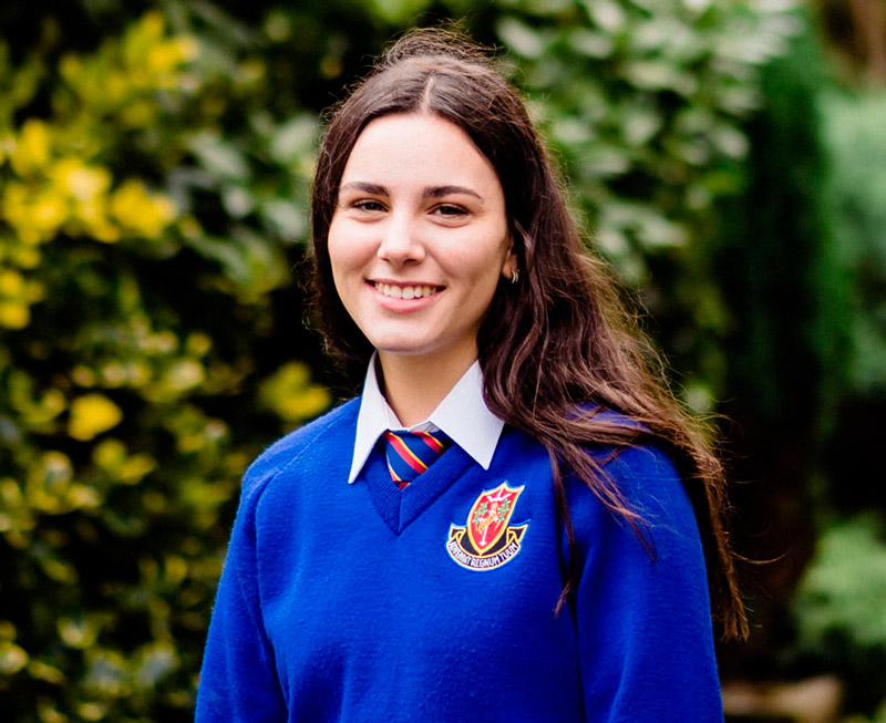 curso escolar irlanda mobile