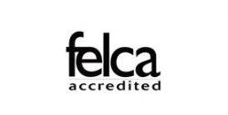 logo felca x