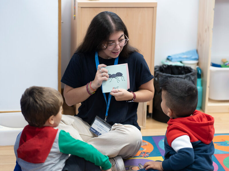 galeria great little people