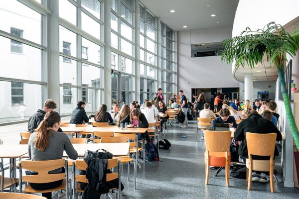 curso ingles waterford irlanda en residencia